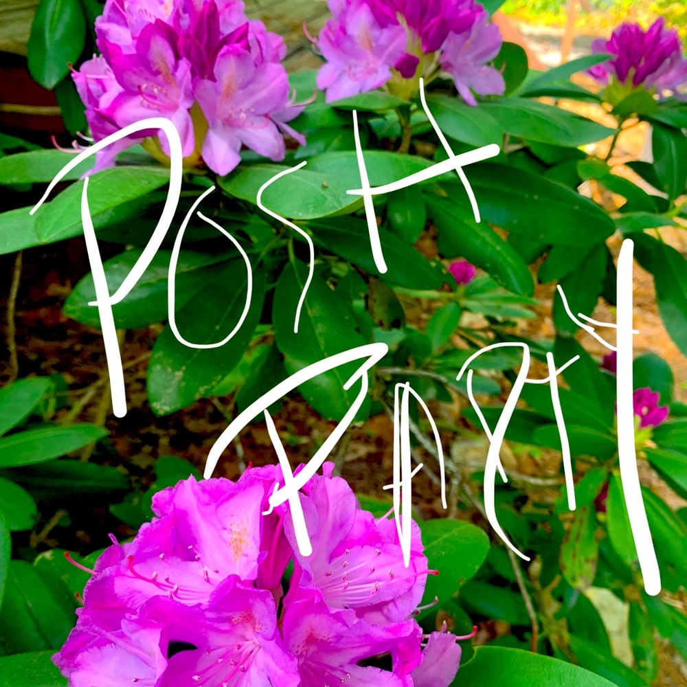 Posh party! Come hangout!